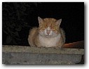 Foto_002.jpg