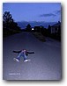 Foto_001.jpg