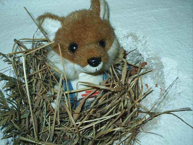 Foto_058.jpg