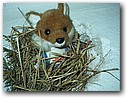 Foto_058.jpg
