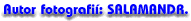  Autor fotografi 