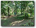 Foto_114.jpg