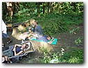 Foto_135.jpg
