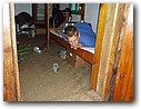 Foto_219.jpg