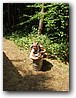 Foto_257.jpg