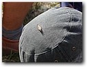 Foto_015.jpg