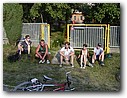 Foto_032.jpg