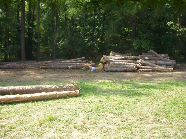 Foto_043.jpg