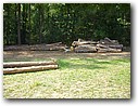 Foto_043.jpg