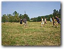 Foto_052.jpg