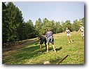 Foto_054.jpg