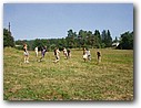 Foto_058.jpg