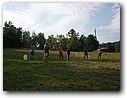 Foto_187.jpg