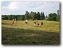 Foto_188.jpg