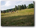 Foto_189.jpg