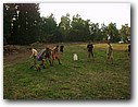 Foto_194.jpg