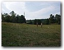 Foto_195.jpg
