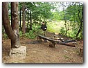 Foto_306.jpg