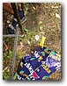 Foto_314.jpg
