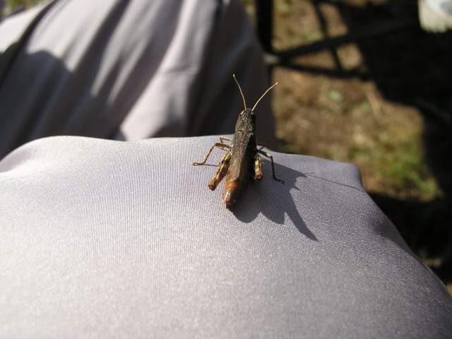 Foto_134.jpg