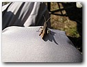 Foto_134.jpg