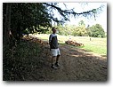 Foto_141.jpg