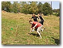 Foto_162.jpg