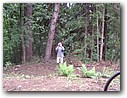 Foto_301.jpg