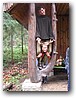 Foto_302.jpg