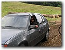 Foto_313.jpg