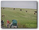 Foto_323.jpg