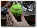 Foto_004.jpg