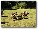 Foto_062.jpg