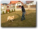 Foto_018.jpg