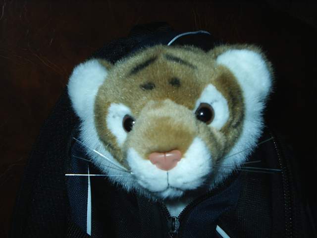 Foto_010.jpg