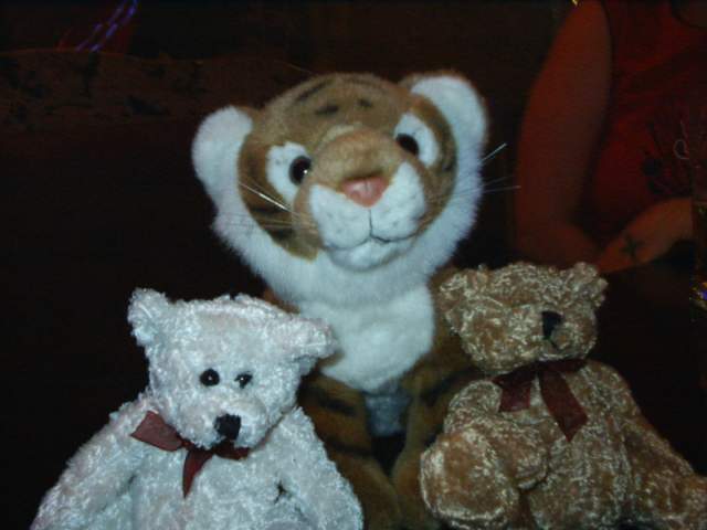 Foto_011.jpg