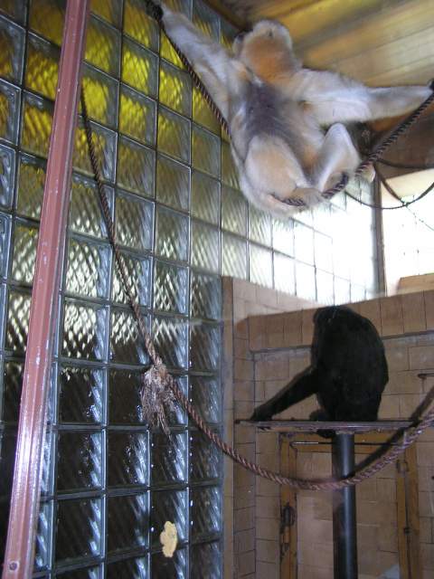 Foto_007.jpg