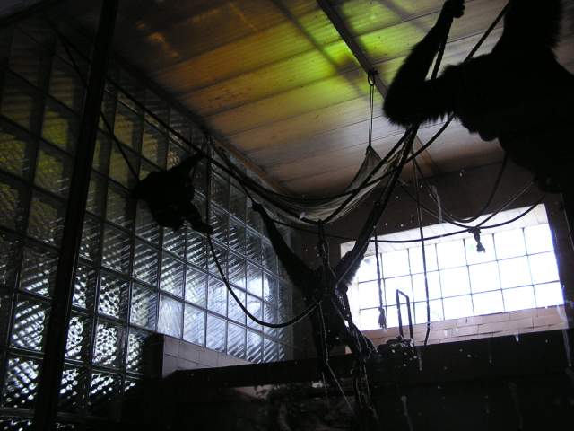Foto_008.jpg