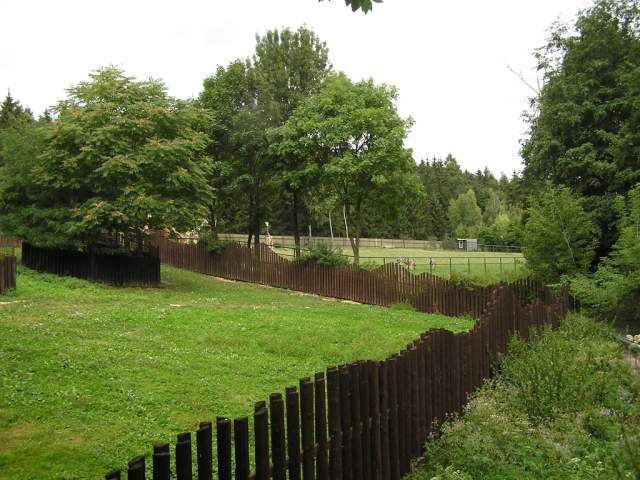 Foto_009.jpg