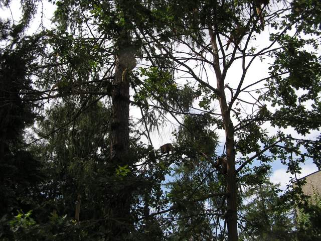 Foto_010.jpg