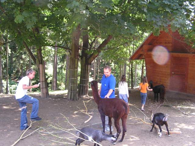 Foto_013.jpg