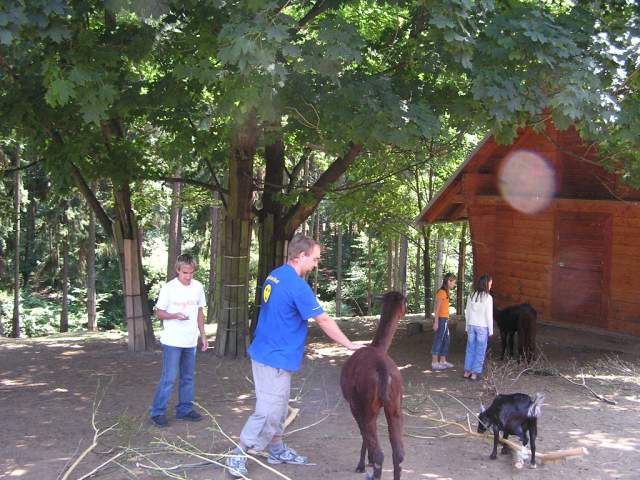 Foto_014.jpg