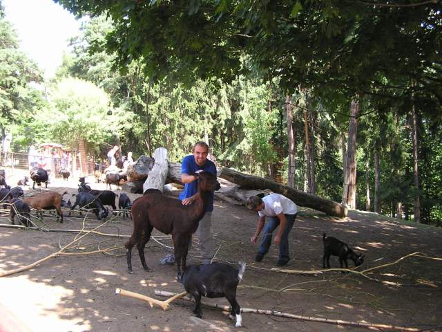 Foto_015.jpg