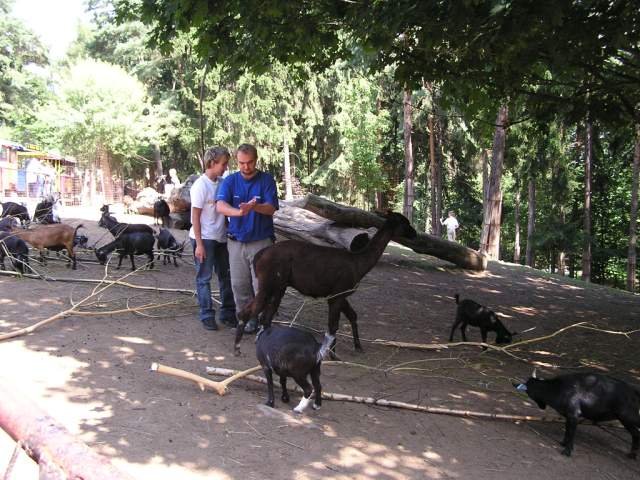 Foto_016.jpg