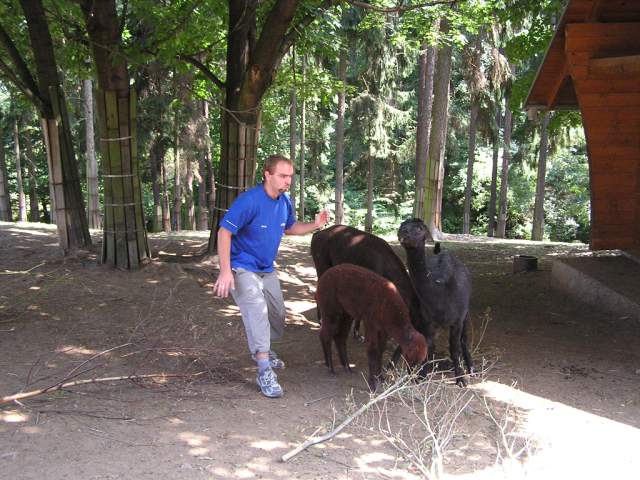 Foto_019.jpg