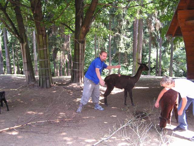 Foto_020.jpg