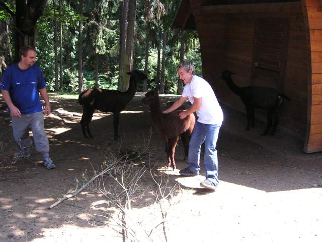Foto_021.jpg