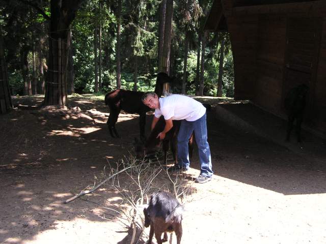 Foto_022.jpg