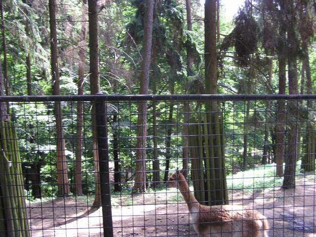 Foto_024.jpg