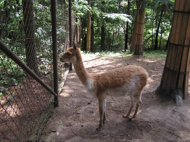 Foto_025.jpg